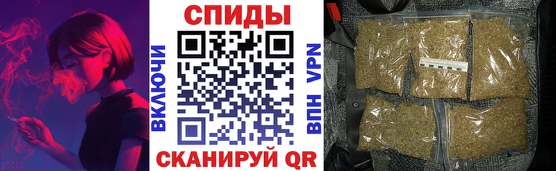 Бутират Butirat  Купить где  Сураж 