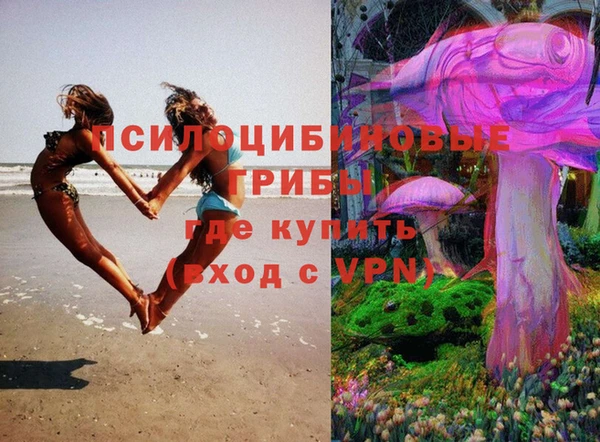 ПСИЛОЦИБИНОВЫЕ ГРИБЫ Дмитровск
