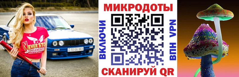 Купить закладки  Сураж  Галлюциногенные грибы Magic Shrooms 